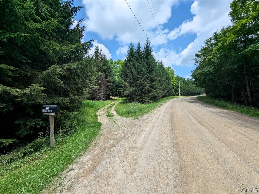 537 Maple Road West Union, NY 14877 - Photo 48 of 50