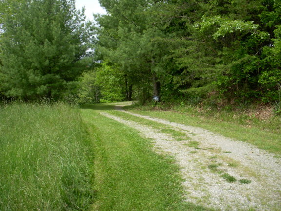 293 Huckleberry Ridge Road Northeast Floyd, VA 24091 - Photo 22 of 29 a backyard of a house with lots of green space and lake view