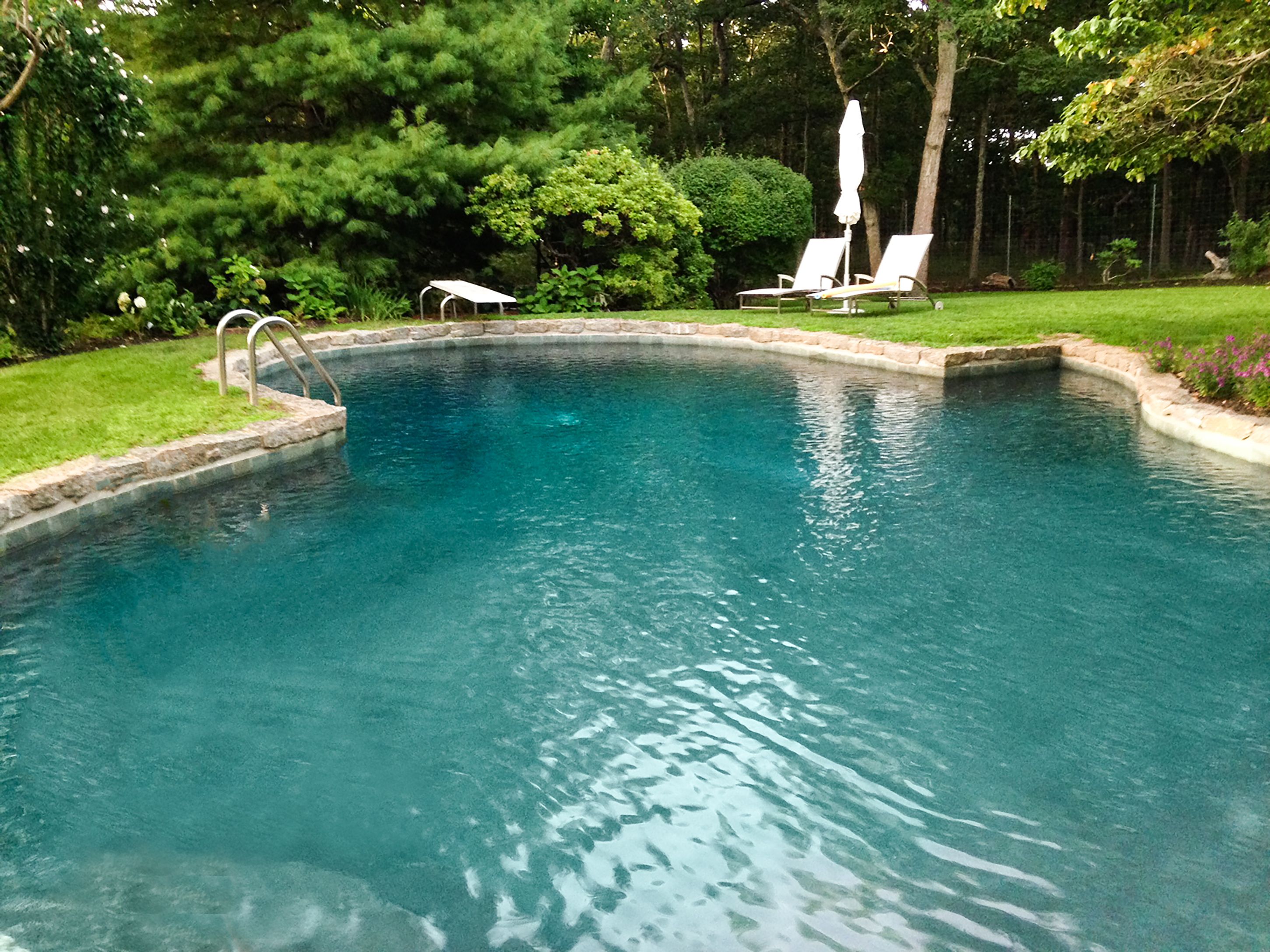 132 Springy Banks Road East Hampton, NY 11937 - Photo 8 of 35 a view of a swimming pool with a yard