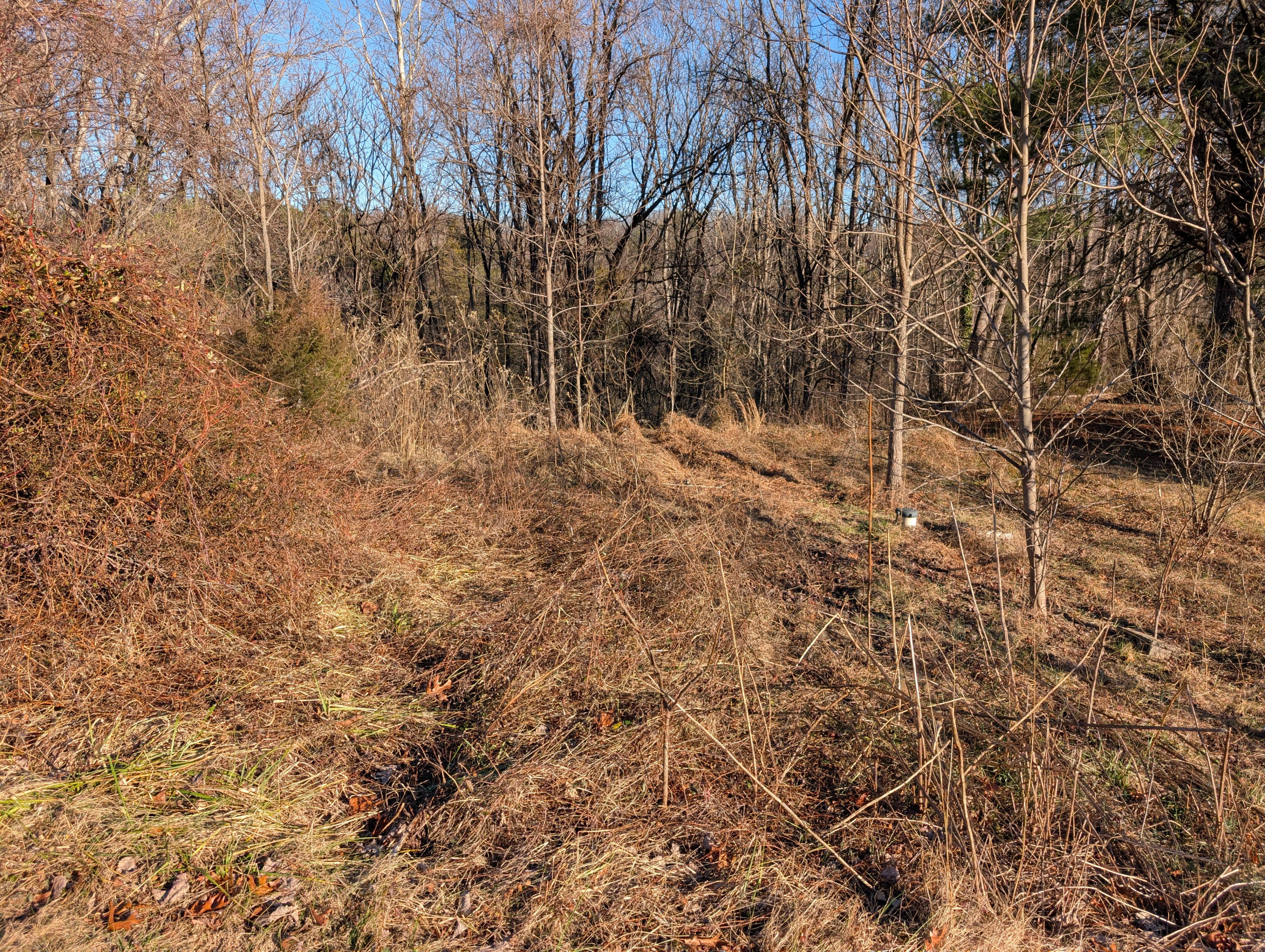 3548 Green Level Road Rocky Mount, VA 24151 - Photo 2 of 10 a view of bushes and trees