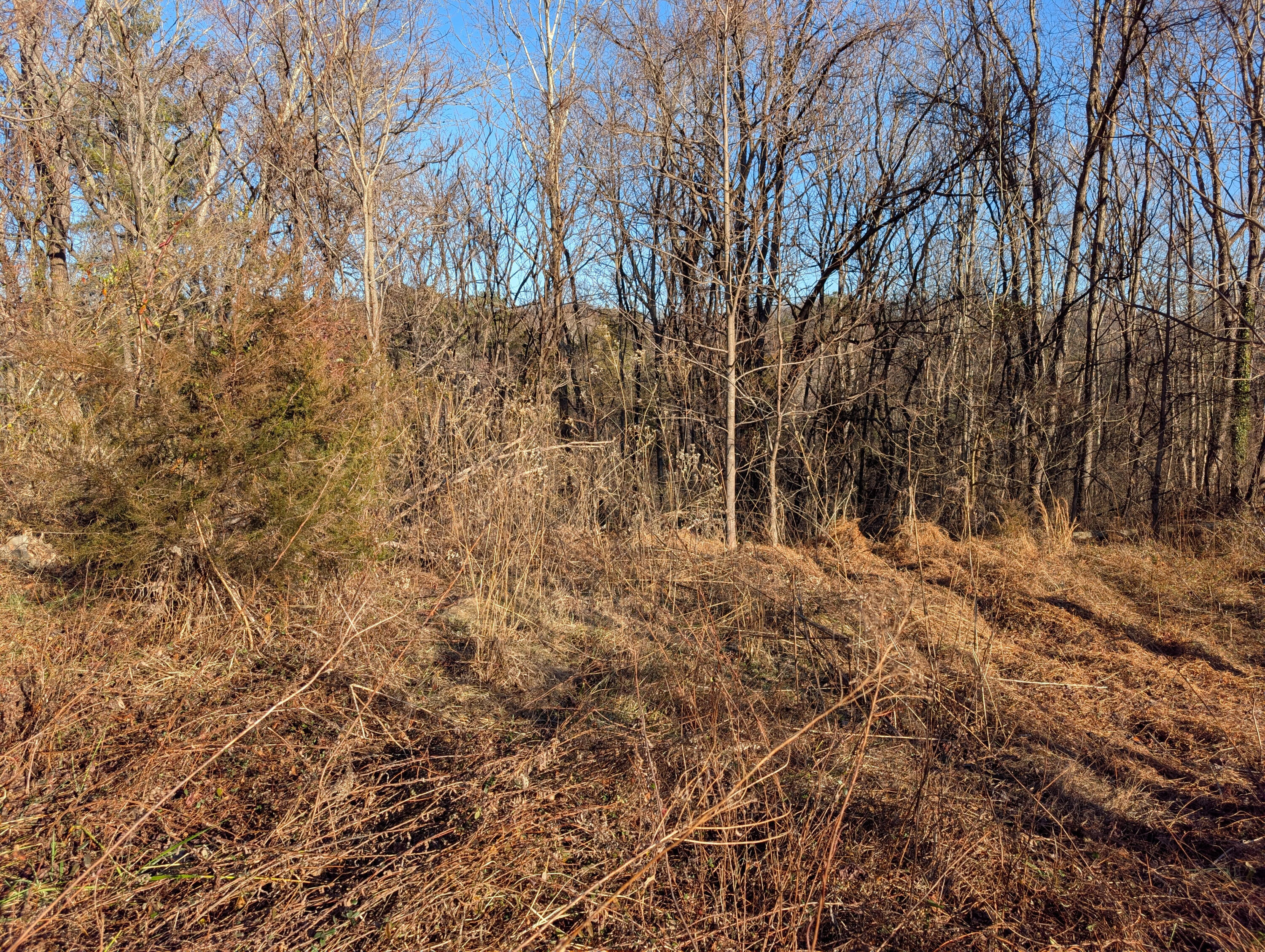 3548 Green Level Road Rocky Mount, VA 24151 - Photo 3 of 10 a view of a yard