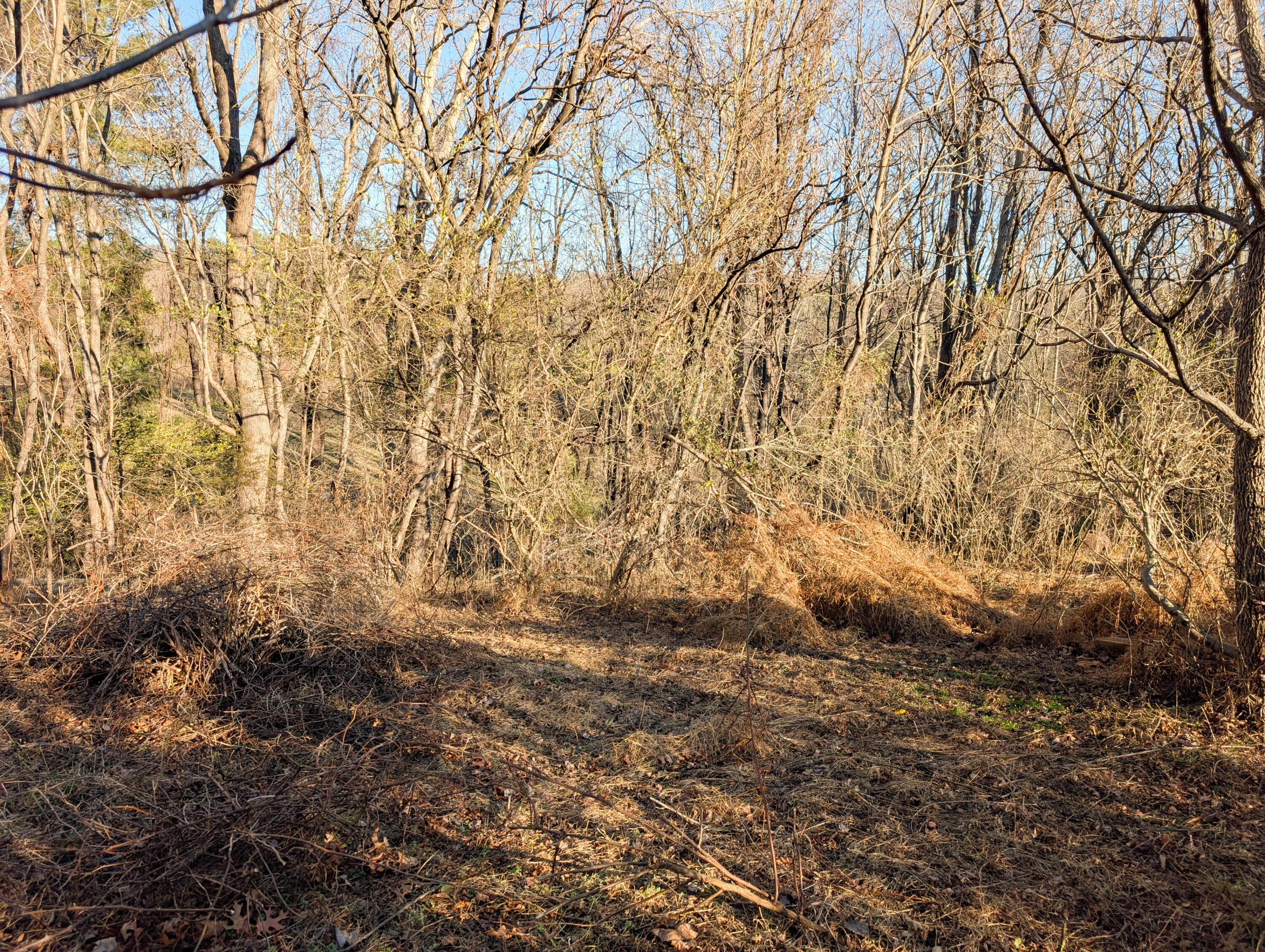 3548 Green Level Road Rocky Mount, VA 24151 - Photo 5 of 10 a view of yard