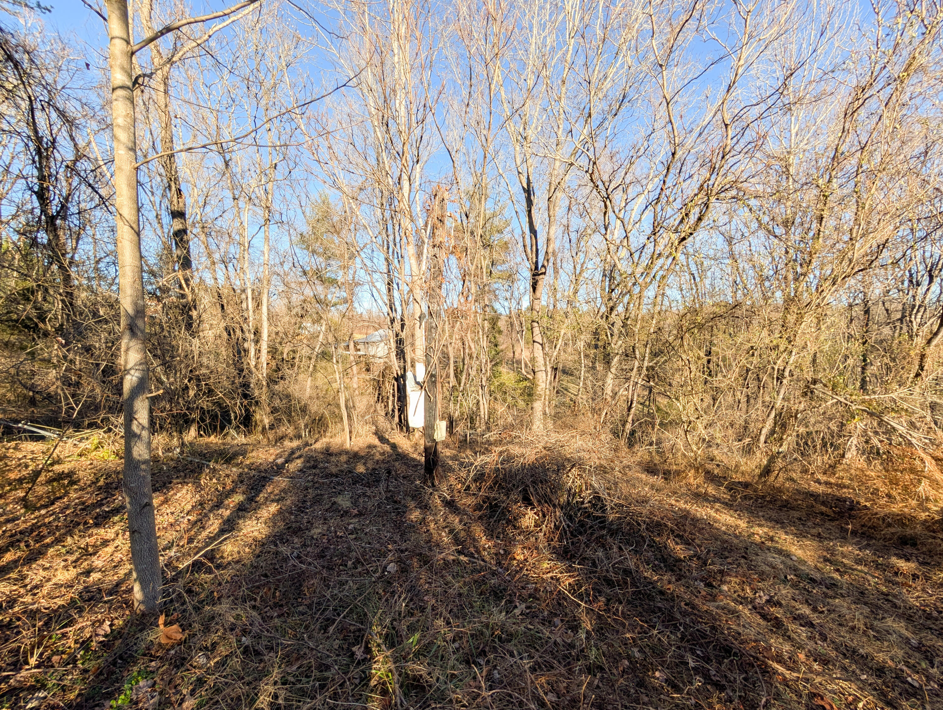 3548 Green Level Road Rocky Mount, VA 24151 - Photo 6 of 10 a view of yard