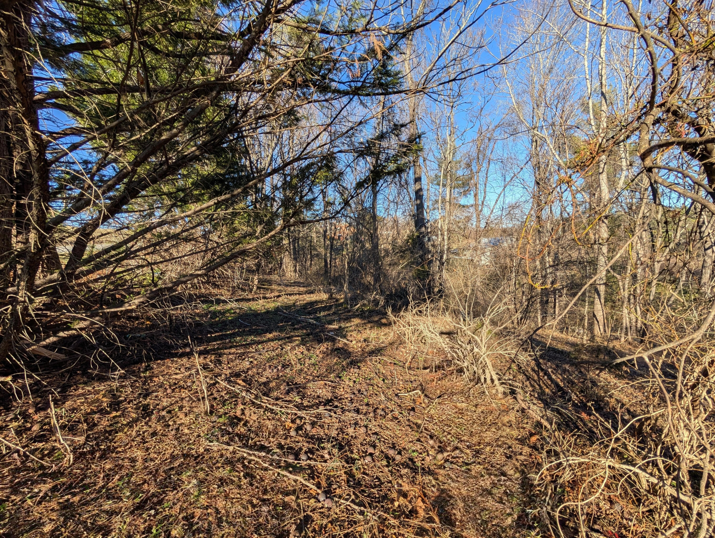 3548 Green Level Road Rocky Mount, VA 24151 - Photo 7 of 10 a backyard of a house