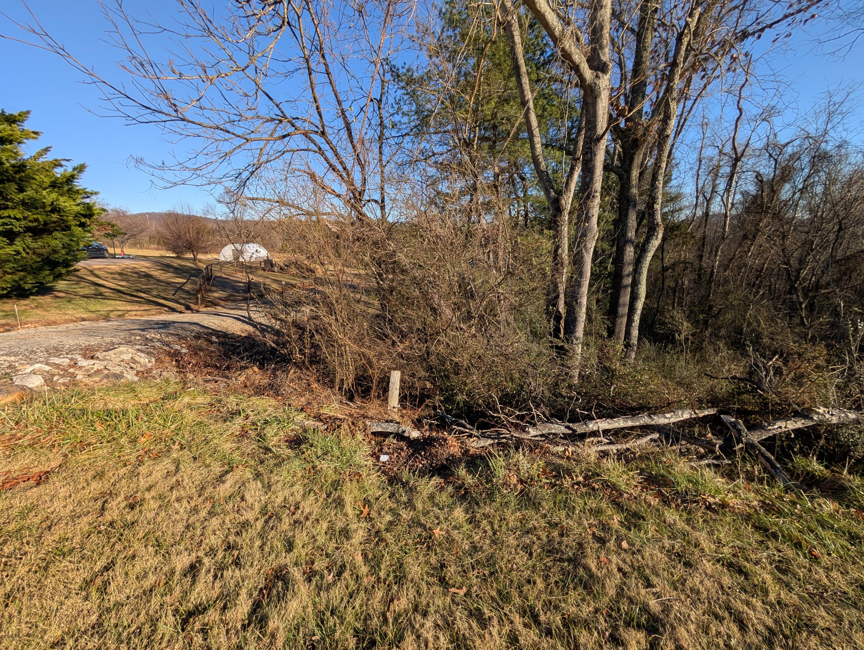 3548 Green Level Road Rocky Mount, VA 24151 - Photo 8 of 10 a view of a yard with trees