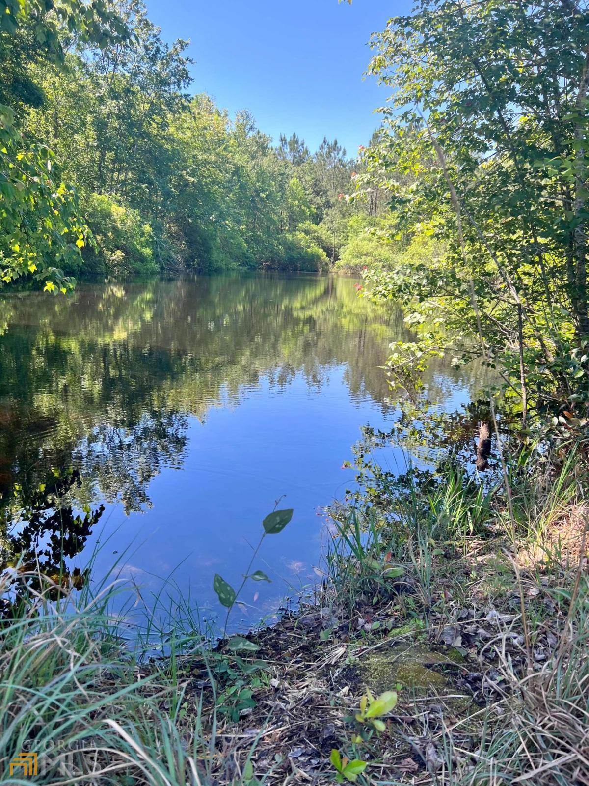 0 Cotton Patch Road Hazlehurst, GA 31539 - Photo 1 of 1 a view of a lake with a yard