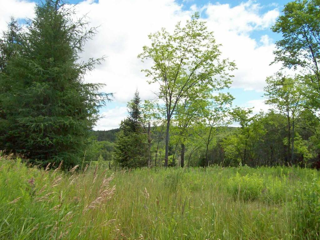 M46-l44 Milan Road Milan, NH 03588 - Photo 2 of 11 Gallery Image 2