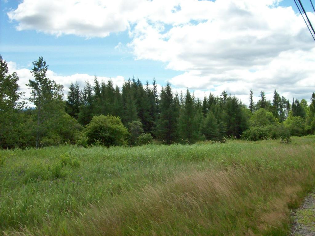 M46-l44 Milan Road Milan, NH 03588 - Photo 4 of 11 Gallery Image 4