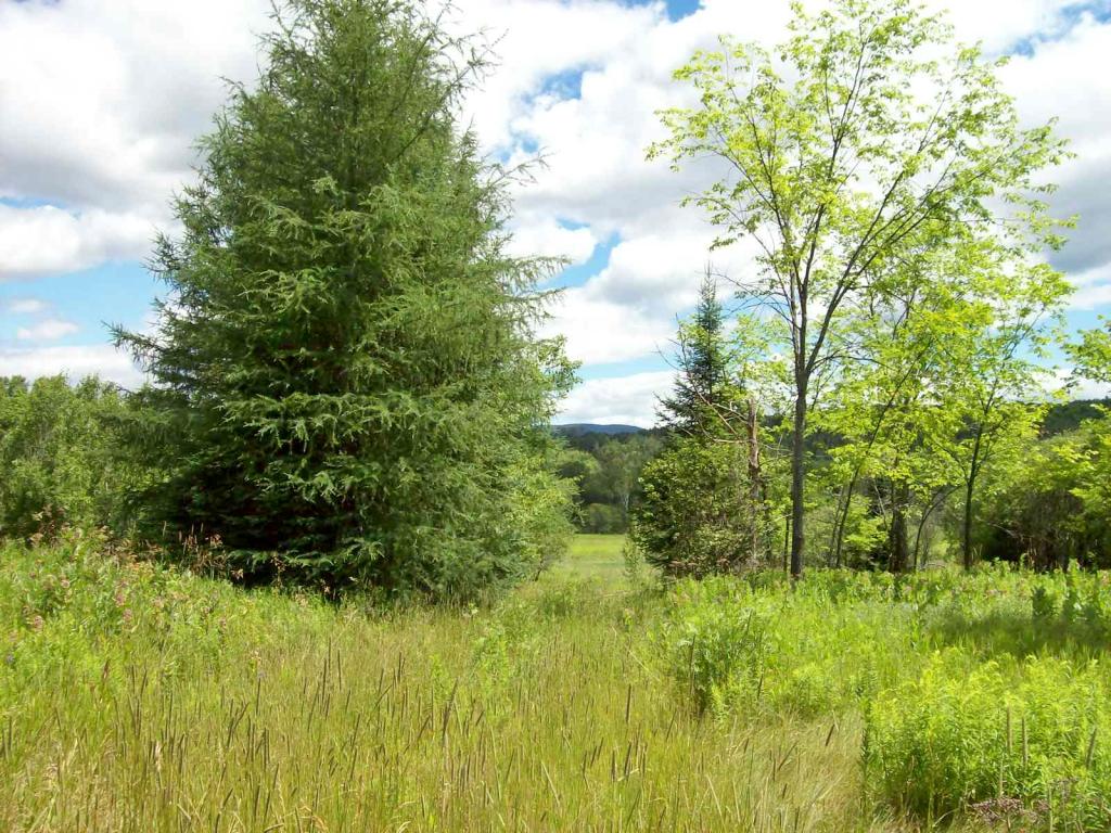 M46-l44 Milan Road Milan, NH 03588 - Photo 6 of 11 Gallery Image 6