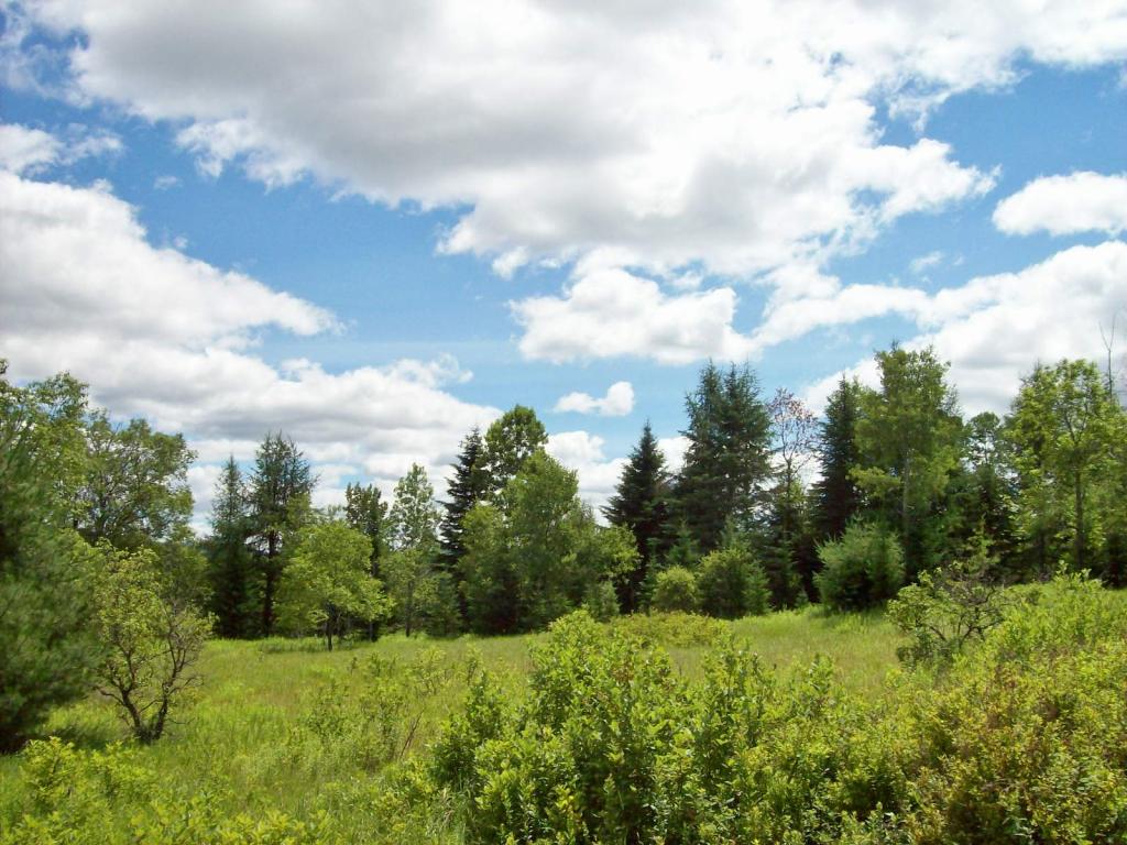 M46-l44 Milan Road Milan, NH 03588 - Photo 8 of 11 Gallery Image 8