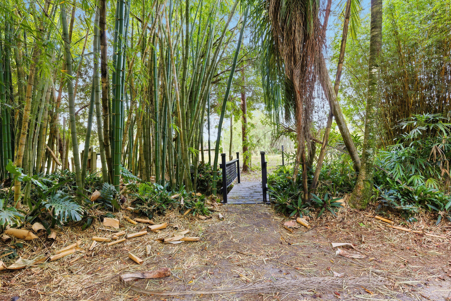 17251 38th Road North Loxahatchee, FL 33470 - Photo 24 of 35 a view of a garden with plants