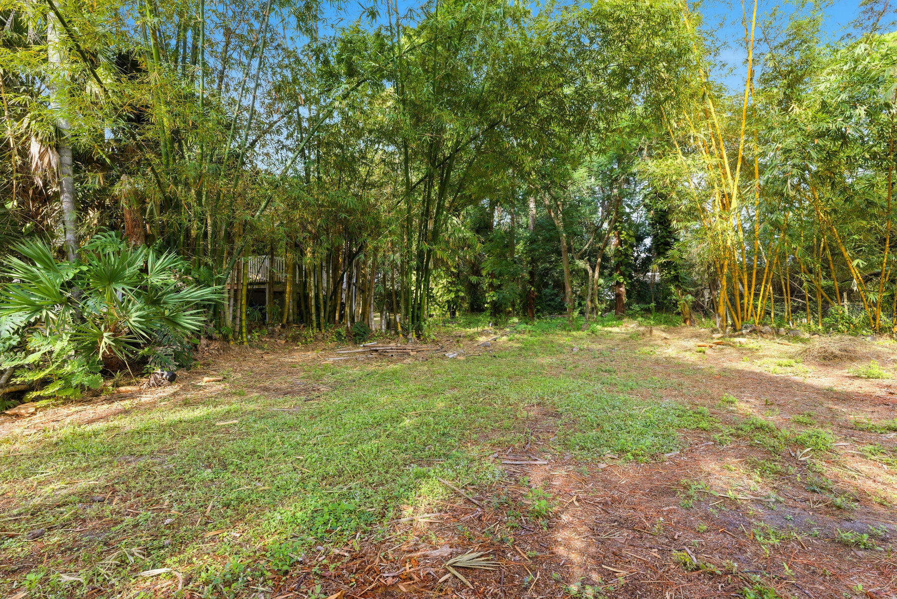 17251 38th Road North Loxahatchee, FL 33470 - Photo 27 of 35 a view of outdoor space with trees all around