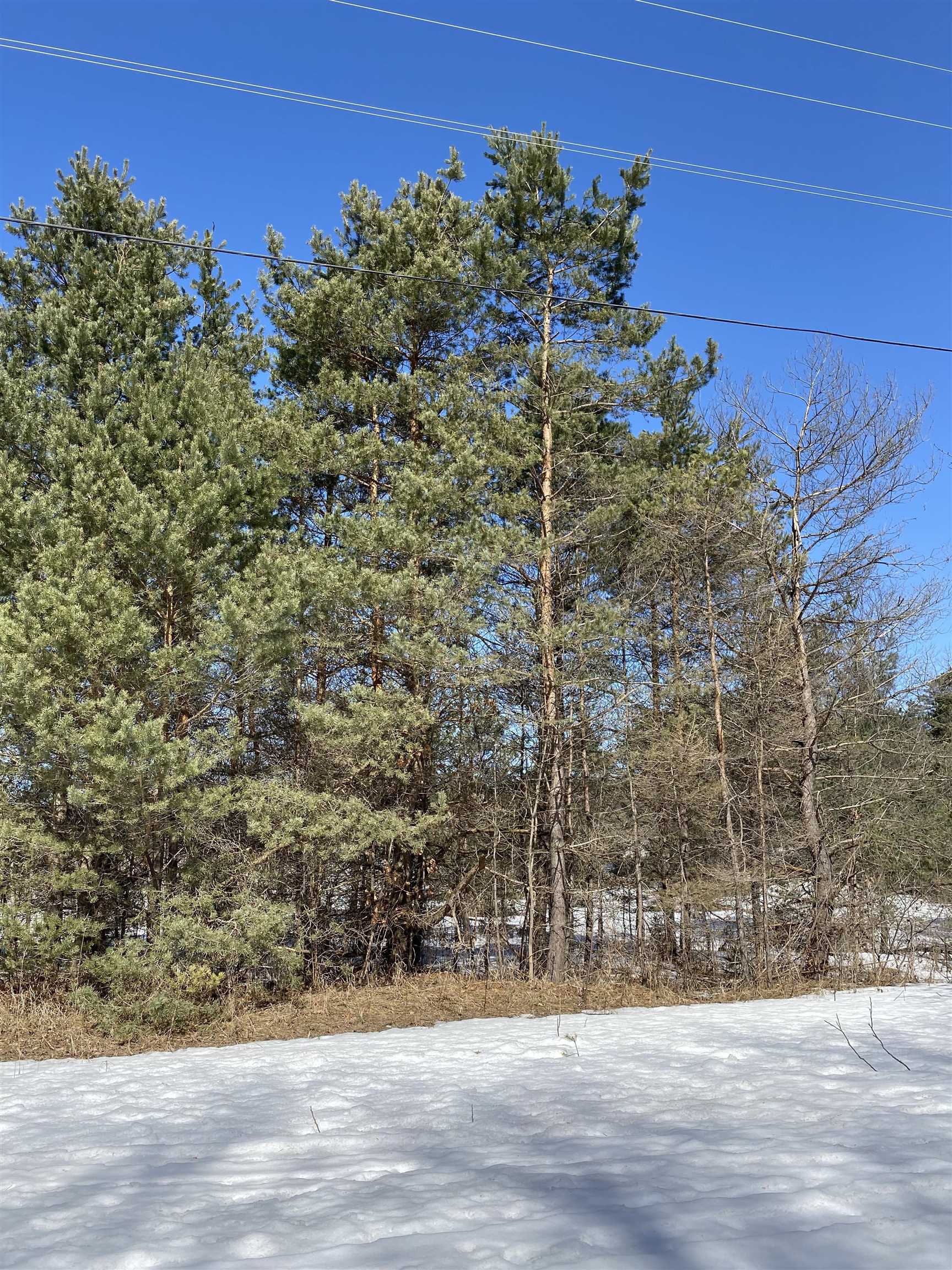 5957 State Road Kalkaska, MI 49646 - Photo 9 of 12 Gallery Image 9