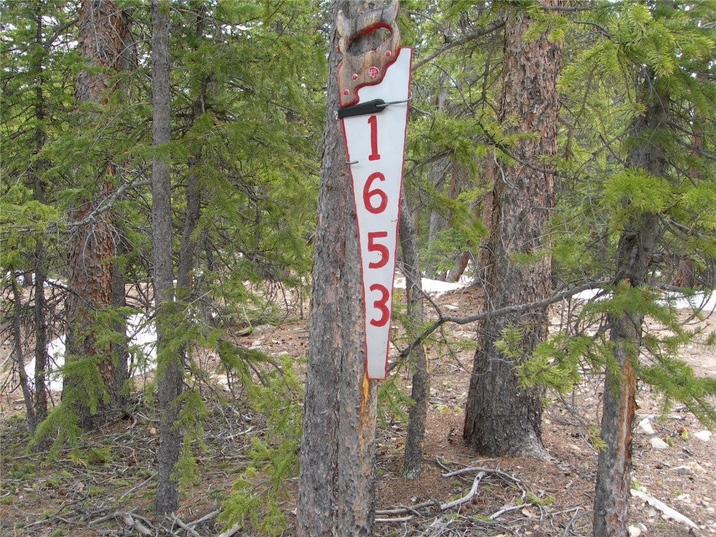 1653 Cr-14a Fairplay Co  