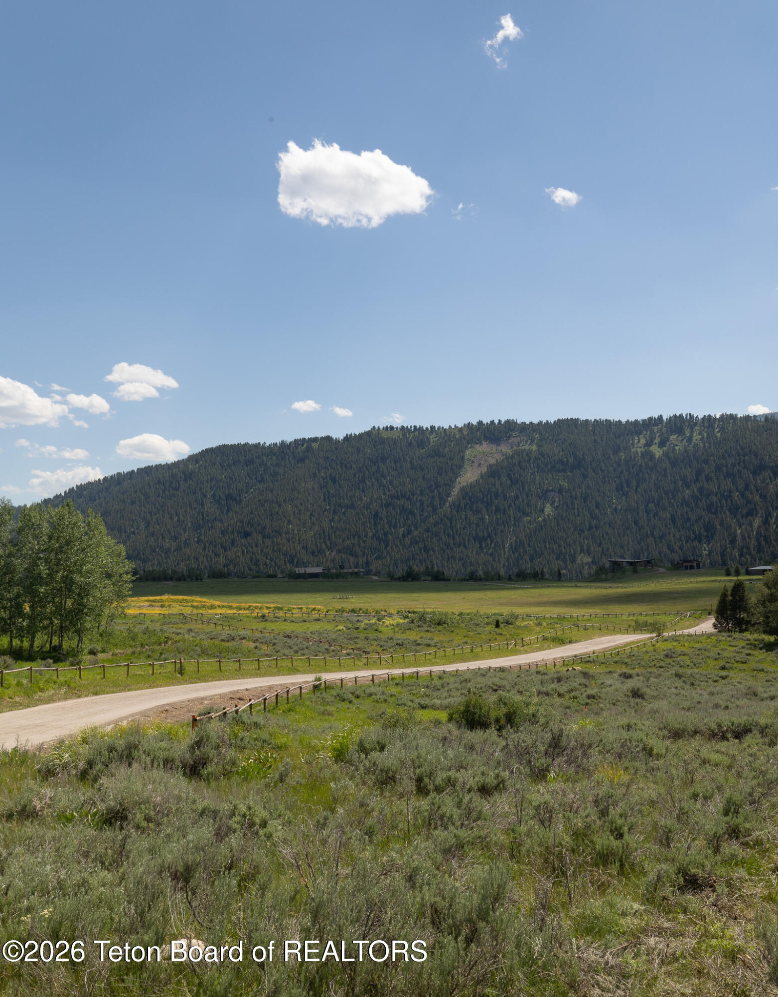 800 Elk Ridge Road Jackson, WY 83001 - Photo 5 of 24 Views of Pasture Land