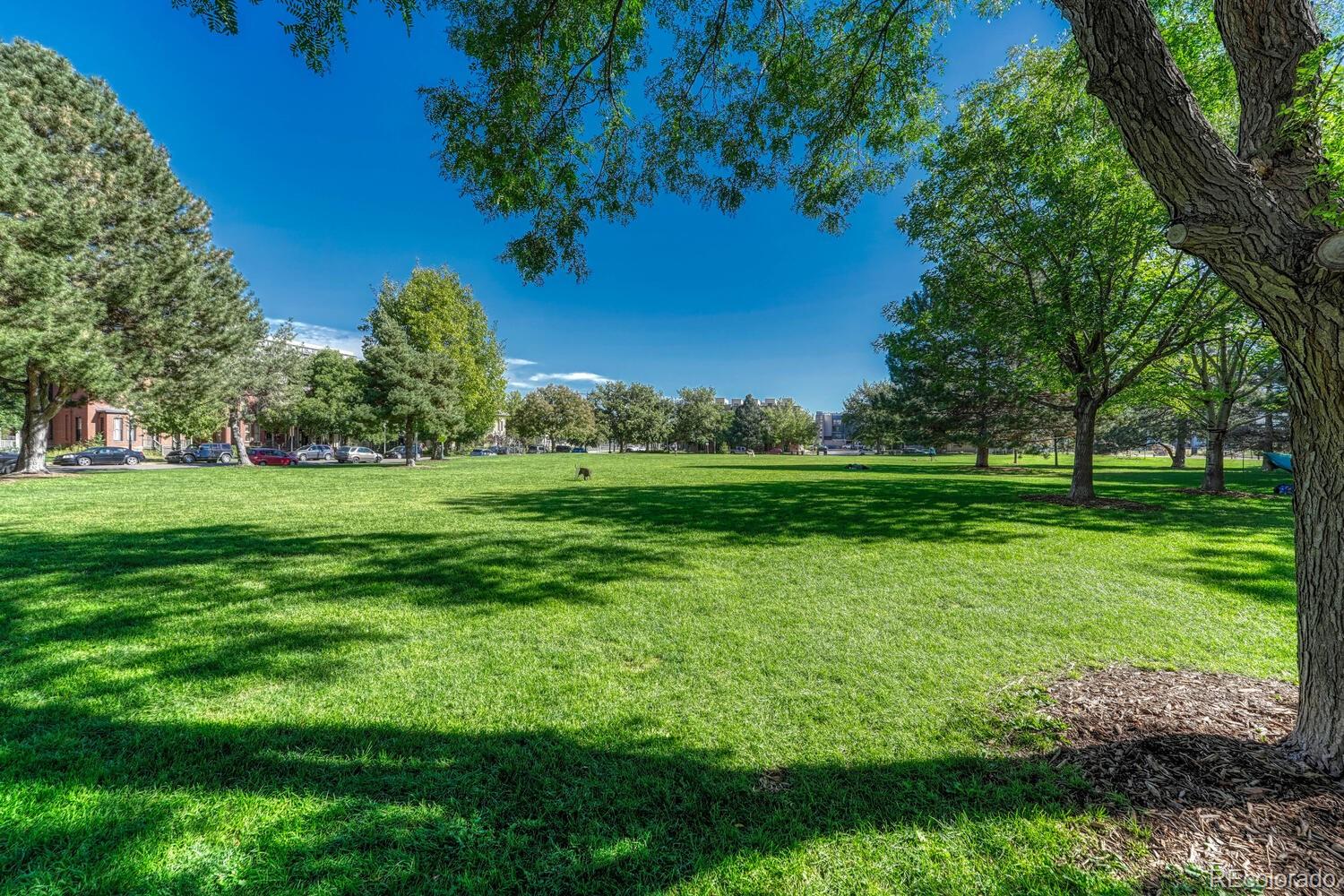 1975 Grant Street, Unit 509 Denver, CO 80203 - Photo 30 of 30 a view of a grassy field with trees