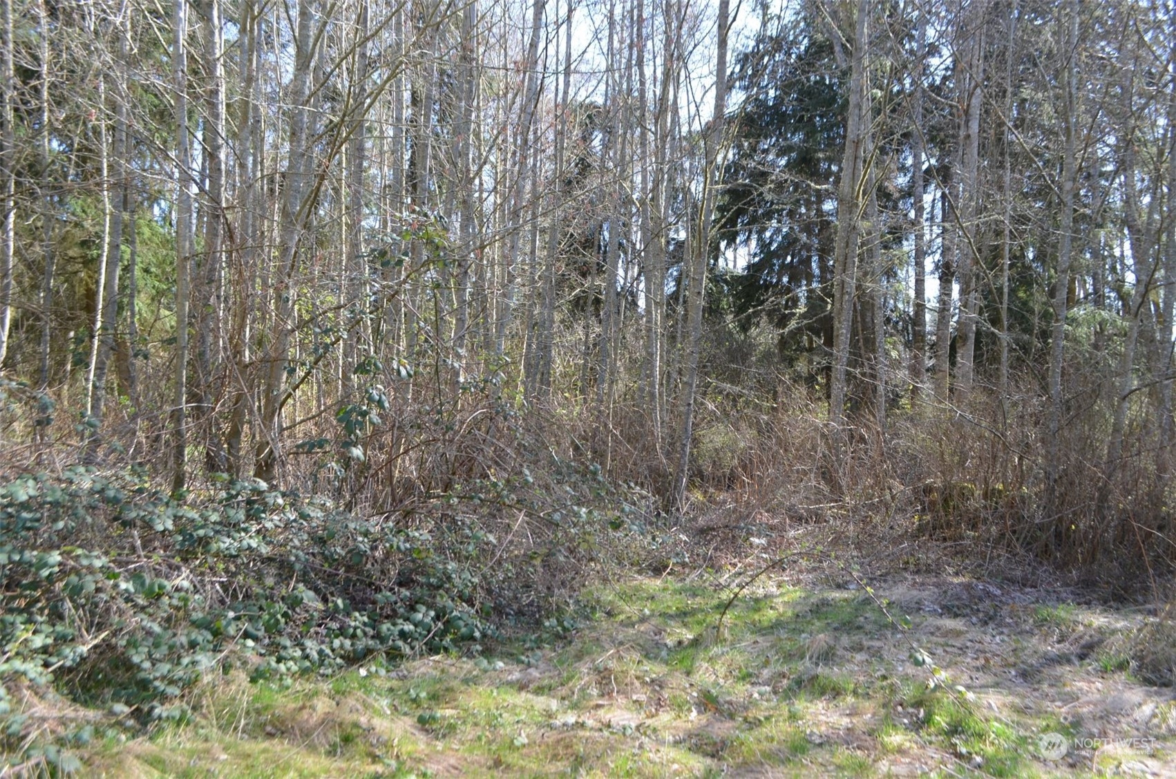 4168 Degraff Road Oak Harbor, WA 98277 - Photo 18 of 20 Gallery Image 18