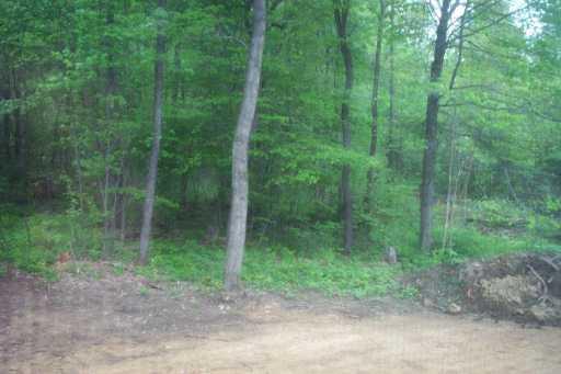 114 Ferguson Road Boyers, PA 16020 - Photo 5 of 5