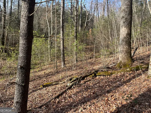 $38,500 | 0 Winter Court, Rabun Gap, GA 30568