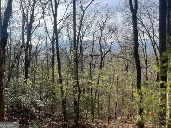$38,500 | 0 Winter Court, Rabun Gap, GA 30568