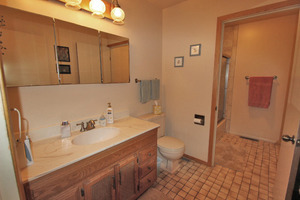314 Dunbar Road Mundelein, IL 60060 - Photo 8 of 17 a bathroom with a sink a toilet and shower