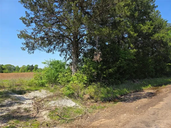 $115,000 | 0 Cr-4240, Simms, TX 75574