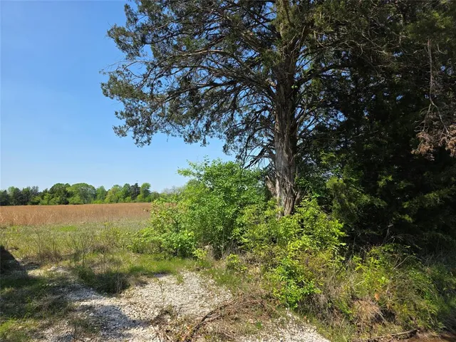 $115,000 | 0 Cr-4240, Simms, TX 75574