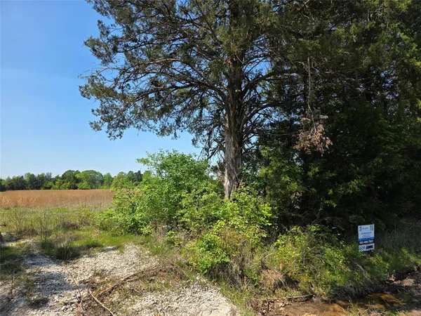 $115,000 | 0 Cr-4240, Simms, TX 75574