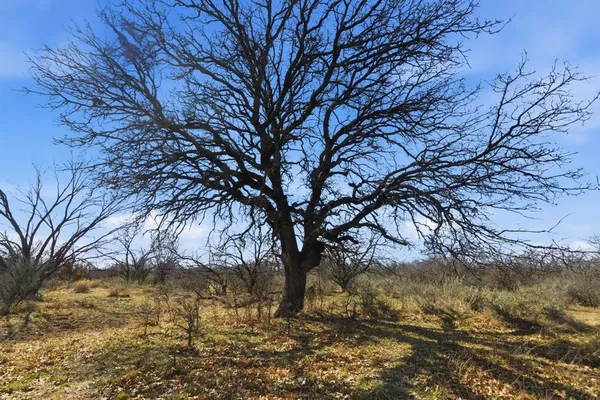 $279,800 | 1 Fm 880, Moran, TX 76464