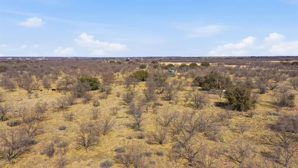 an aerial view of houses covered in trees