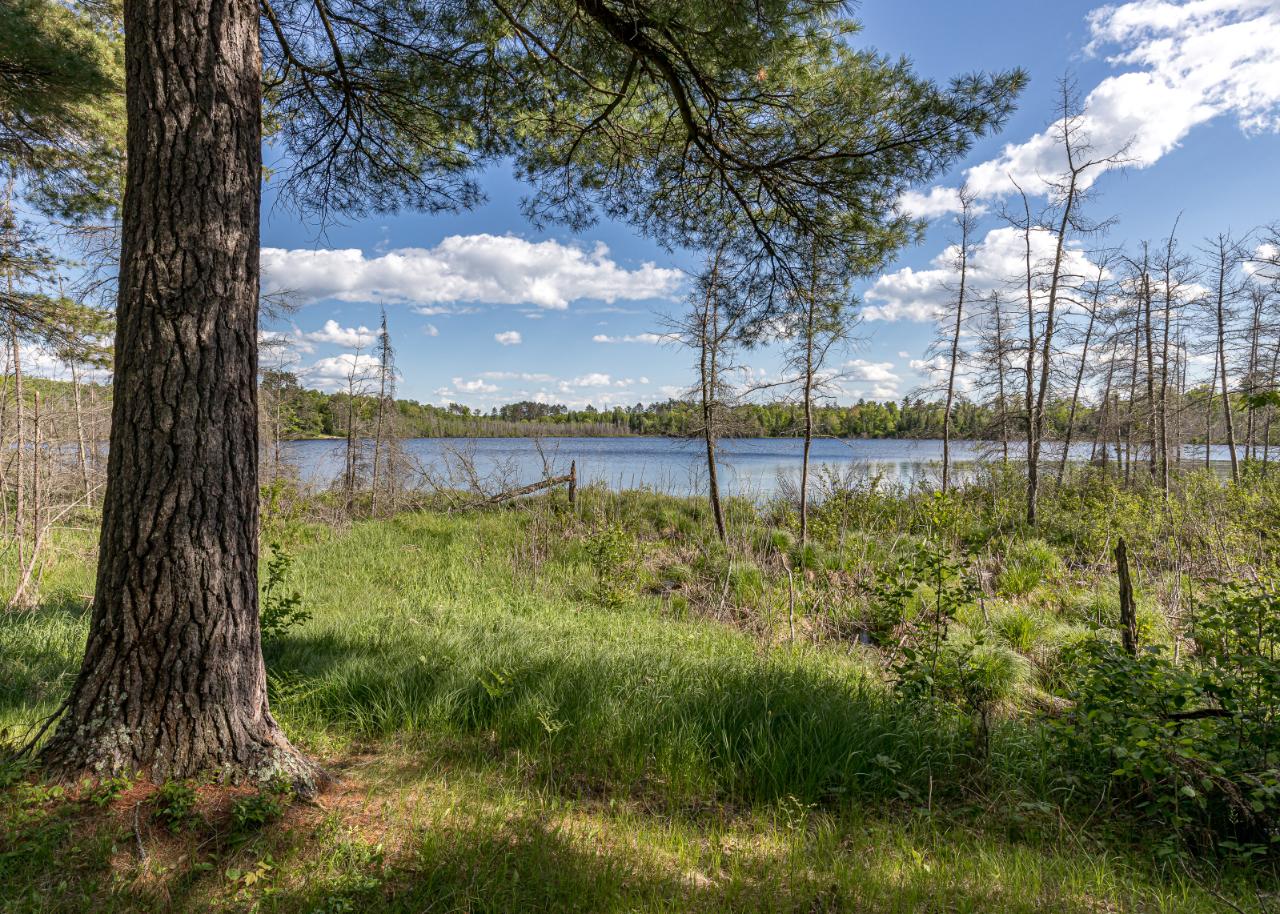 4716 Horsehead Lake Road Rhinelander, WI 54501 - Photo 12 of 29 Gallery Image 12