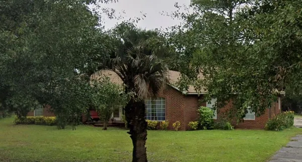 a view of a backyard with plants and large tree