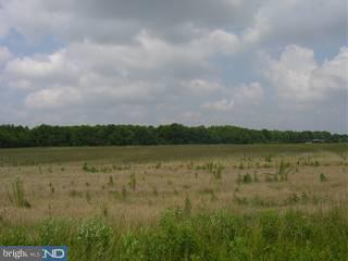 1150 Paddock Road Smyrna, DE 19977 - Photo 3 of 5 Gallery Image 3