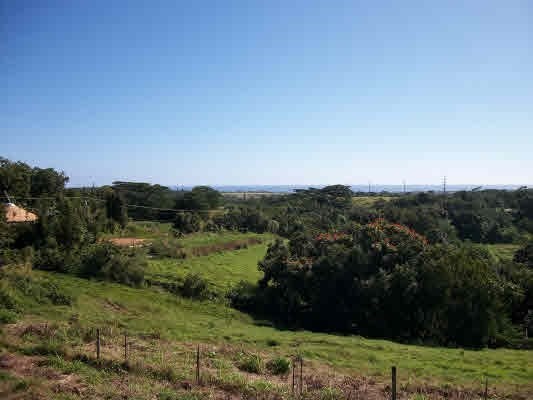 Hauiki Road, Unit 4 Kapaa, HI 96746 - Photo 1 of 12 Gallery Image 1