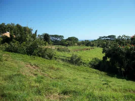 Hauiki Road, Unit 4 Kapaa, HI 96746 - Photo 10 of 12 Gallery Image 10