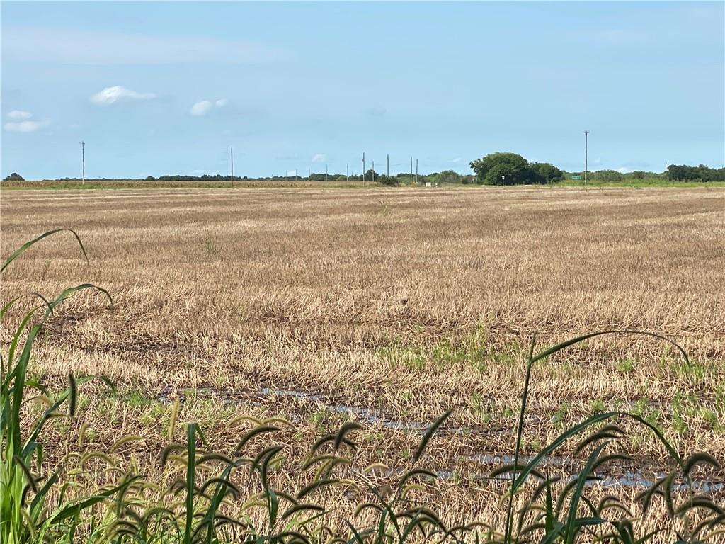 a view of an ocean and beach