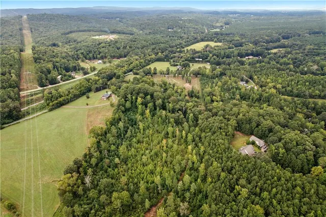 an aerial view of residential houses with outdoor space and trees