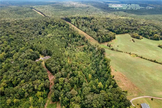 a view of a small yard