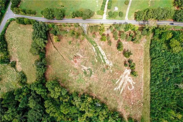 an outdoor view of garden with green space