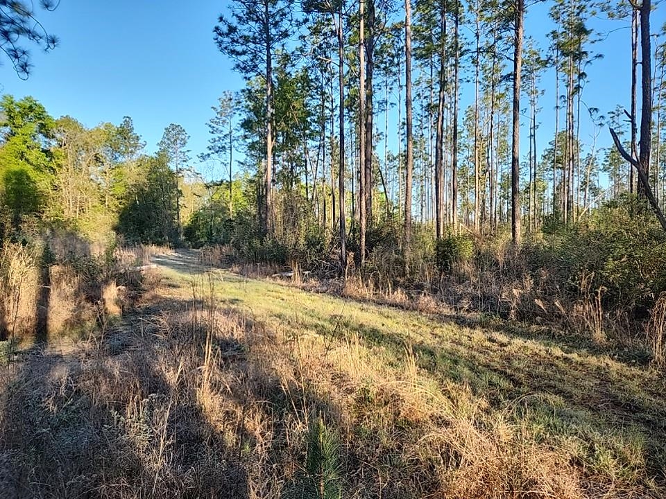 3 Paul Road Bay Minette, AL 36507 - Photo 1 of 4