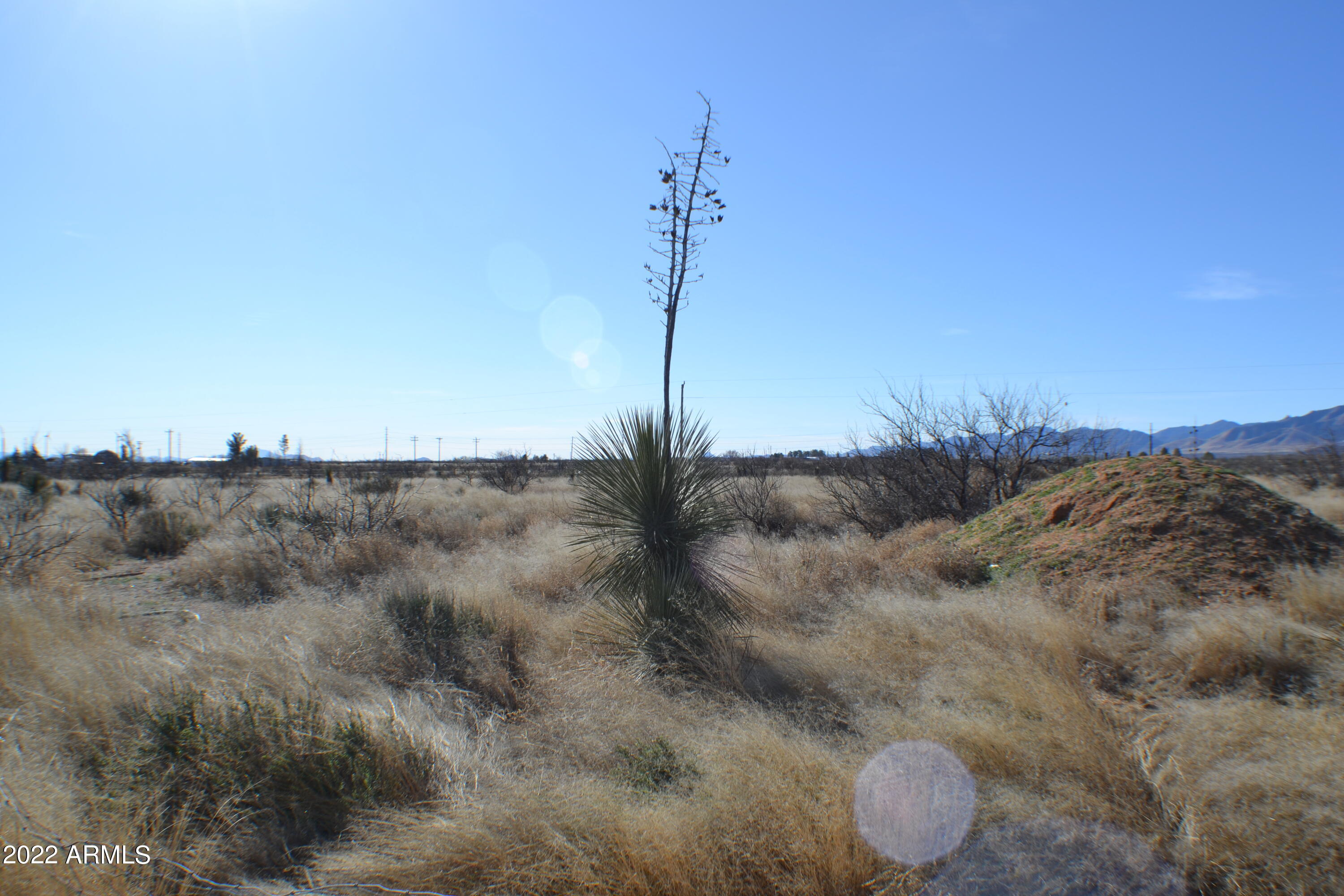 3752 North Golden Rule Road Cochise, AZ 85606 - Photo 9 of 10 DSC_0341