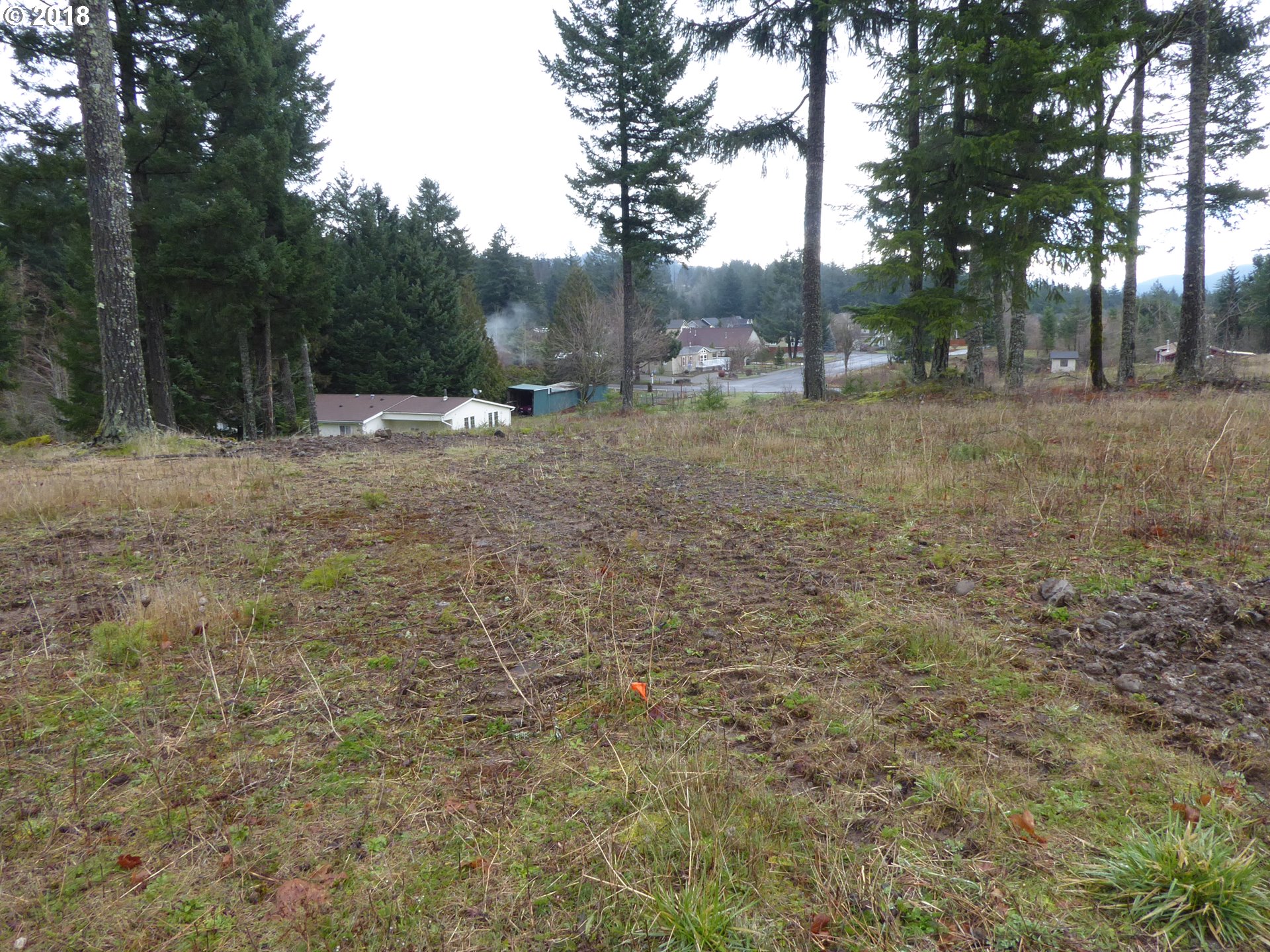 1142 Northwest Iman Loop Road Stevenson, WA 98648 - Photo 5 of 9