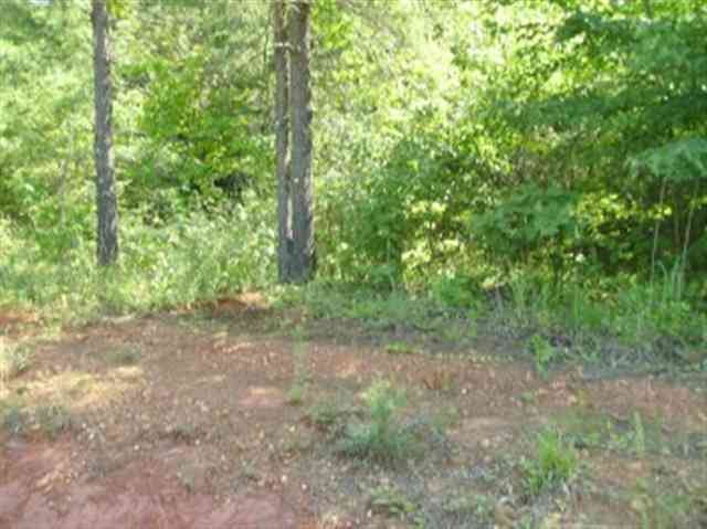 0 Mcgee Road Salem, SC 29676 - Photo 1 of 1 Gallery Image 1