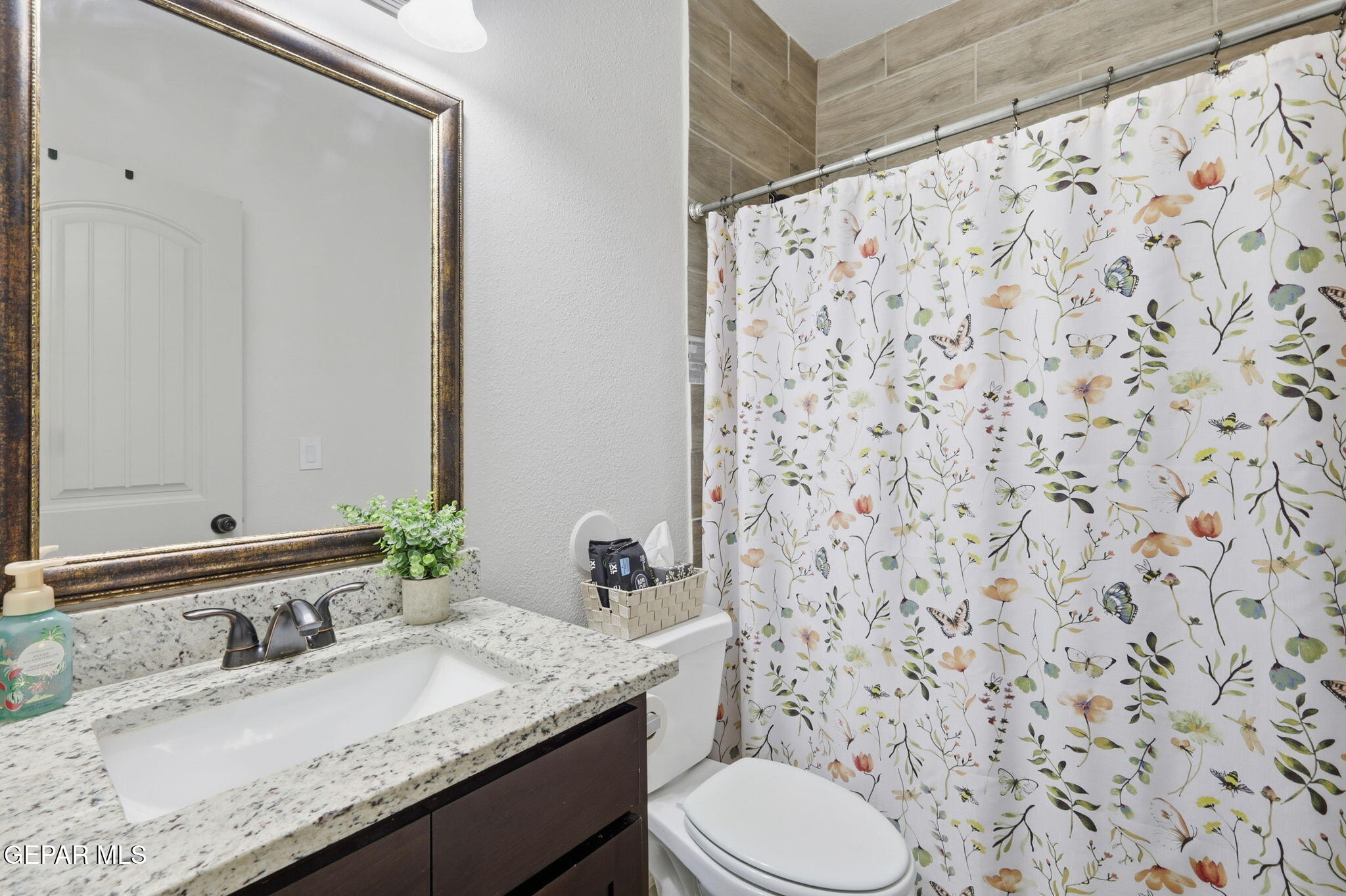 11040 Gem Valley Road Socorro, TX 79927 - Photo 11 of 38 15-web-or-mls-IMG_2261