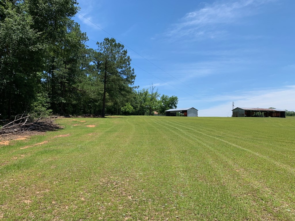 0 South Co Road Ashford, AL 36312 - Photo 10 of 16