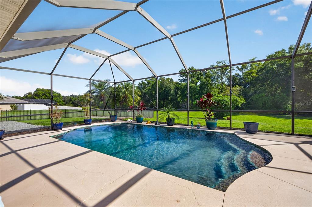 17308 Howling Wolf Run Parrish, FL 34219 - Photo 47 of 55