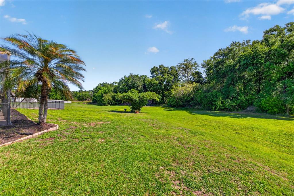 17308 Howling Wolf Run Parrish, FL 34219 - Photo 50 of 55