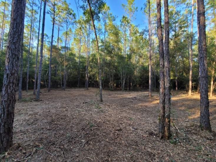 Lot 1 Tram Road Tallahassee, FL 32311 - Photo 1 of 13 Gallery Image 1