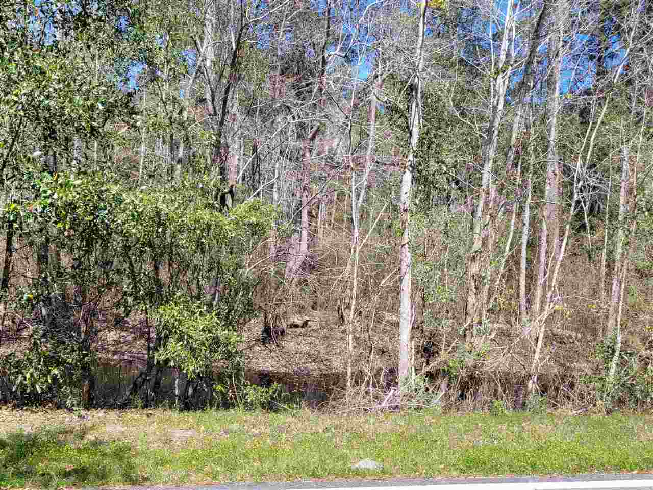 Lot 1 Tram Road Tallahassee, FL 32311 - Photo 11 of 13 Gallery Image 11