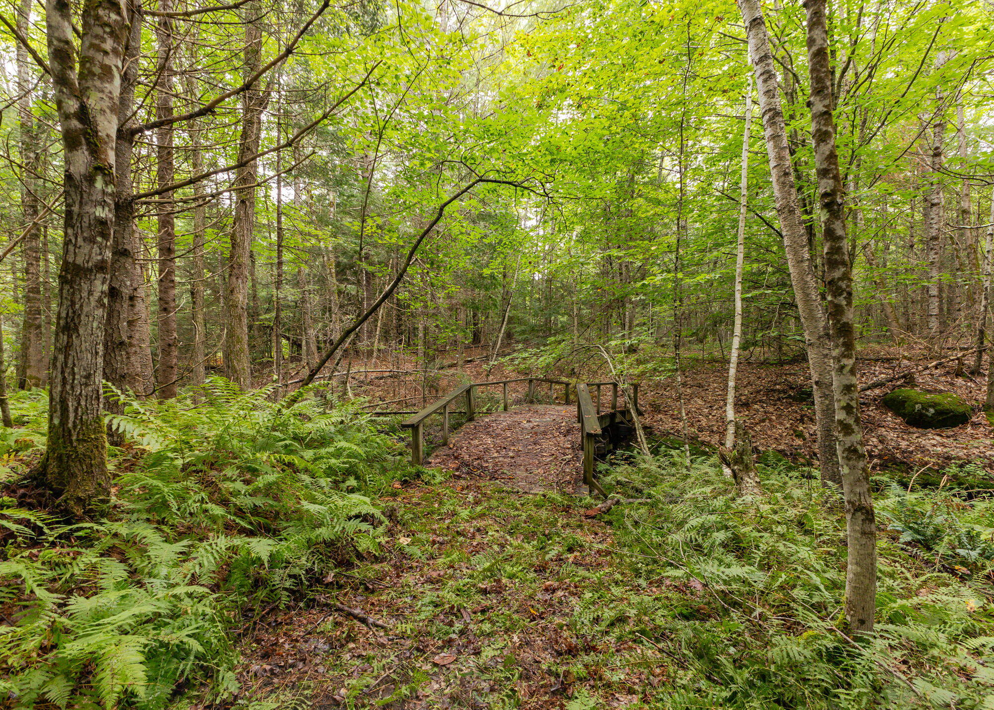 35 Besse Road Wayne, ME 04284 - Photo 52 of 52 35BesseRd-Wayne-52